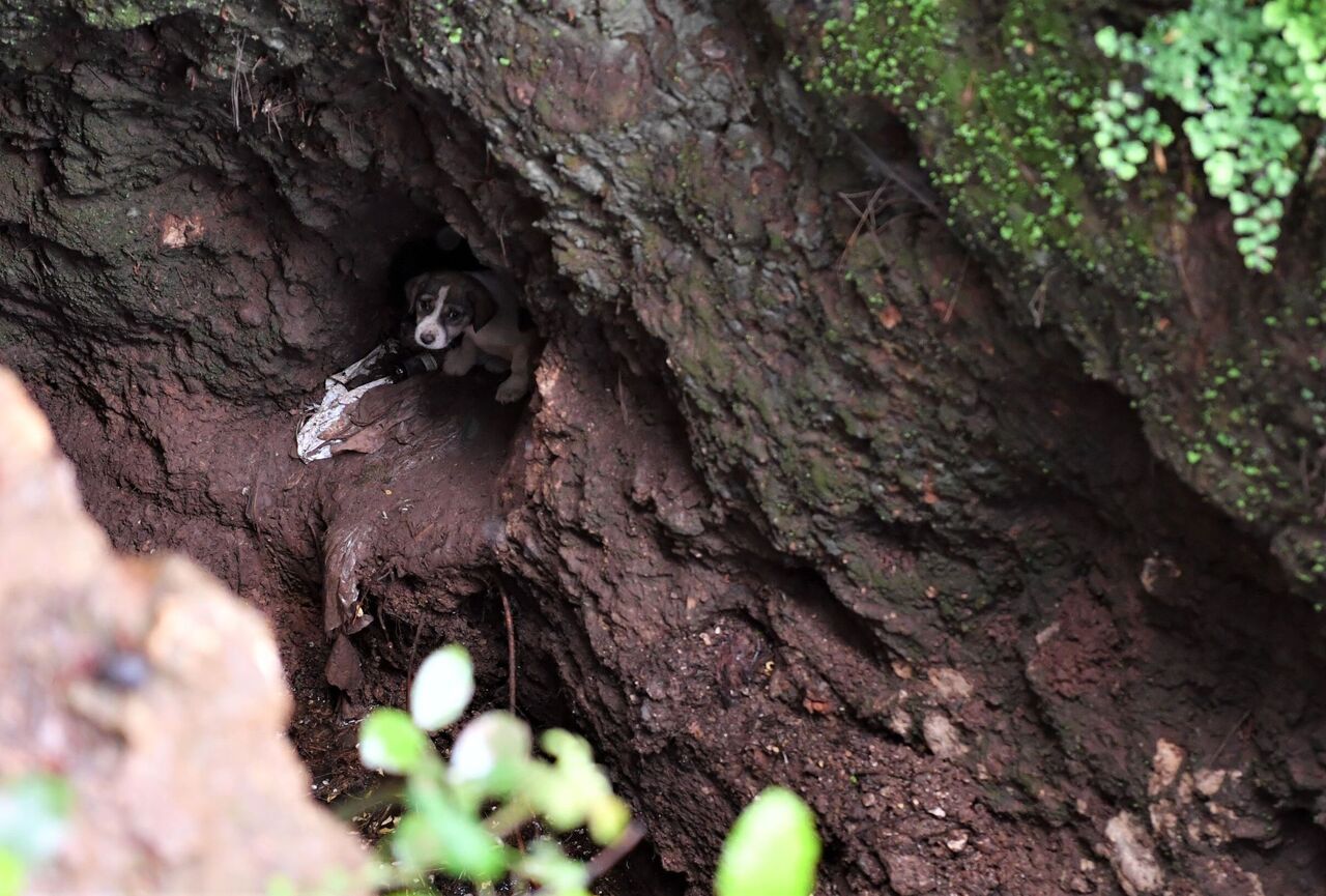 Umut'a hayat oldular (1)