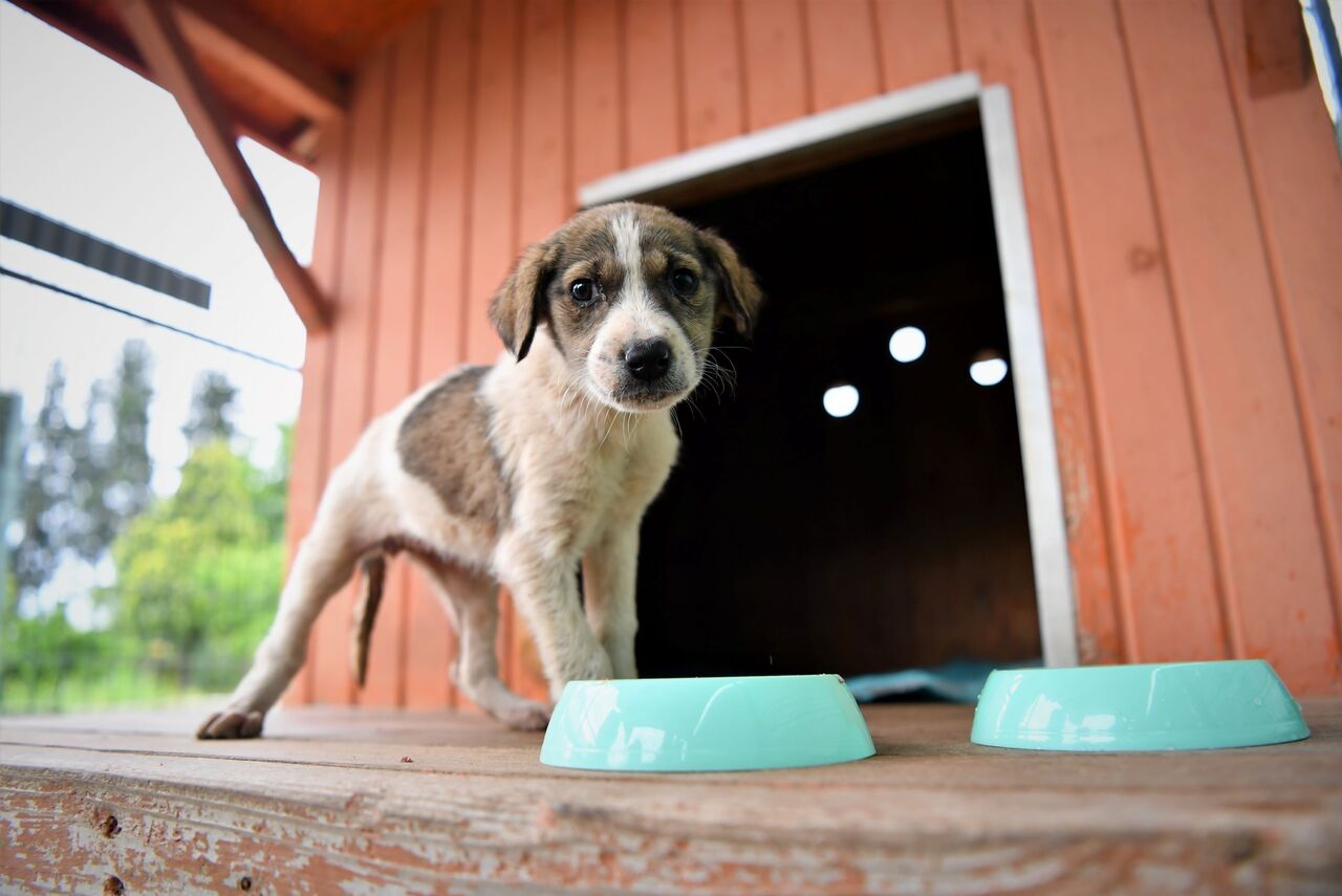 Umut'a hayat oldular (11)