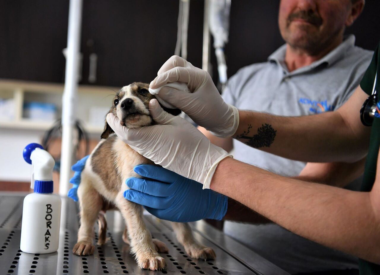 Umut'a hayat oldular (5)