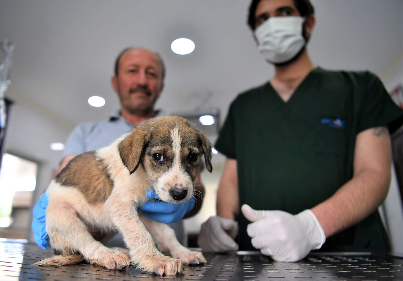 Umut'a hayat oldular (7)