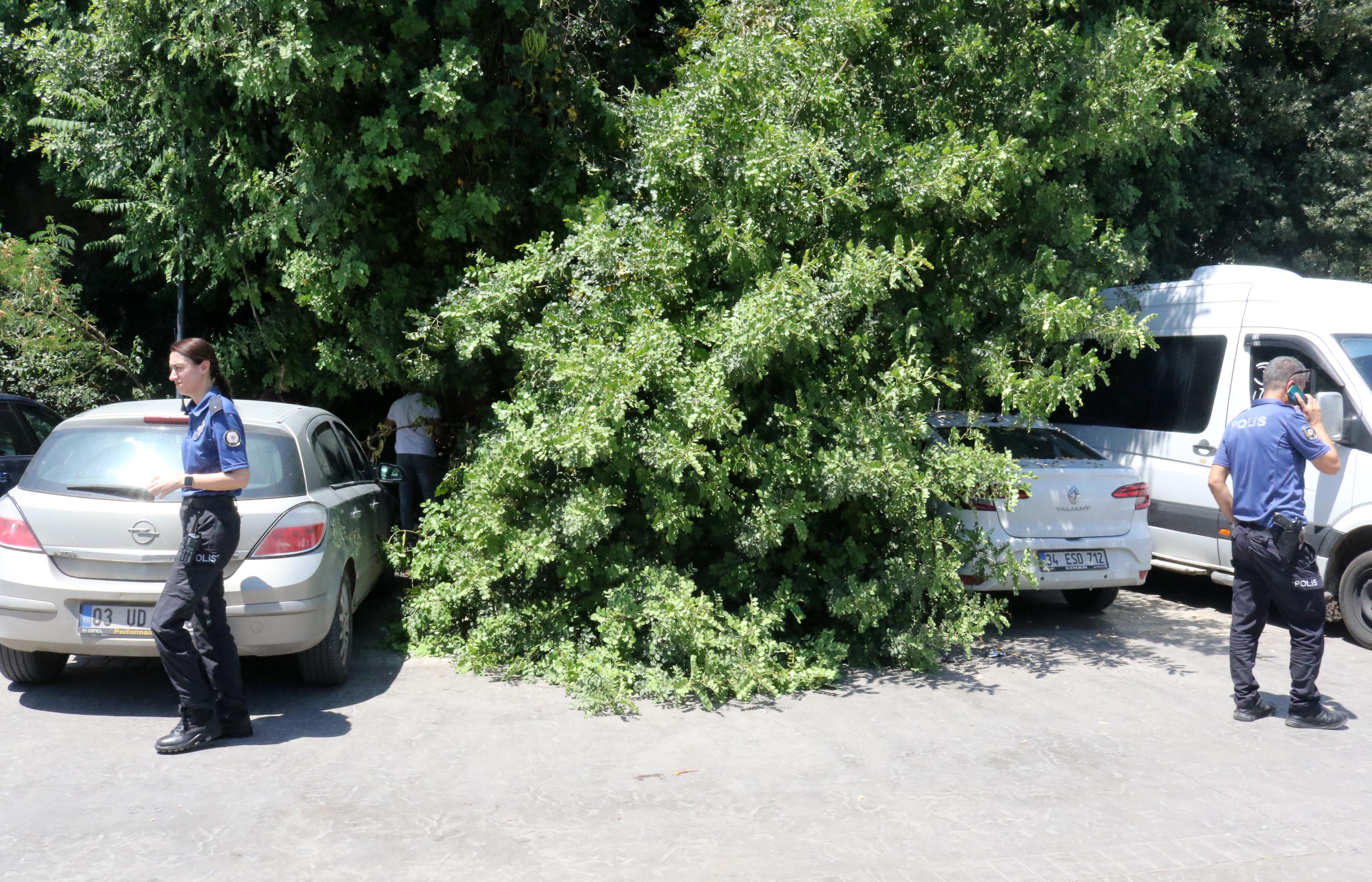 tatile-geldigi-antalyada-otomobilinin-uzerine-agac-devrildi_6947_dhaphoto6