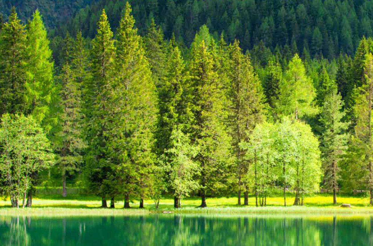 turkiyenin-en-yesil-kentleri_3761_dhaphoto3