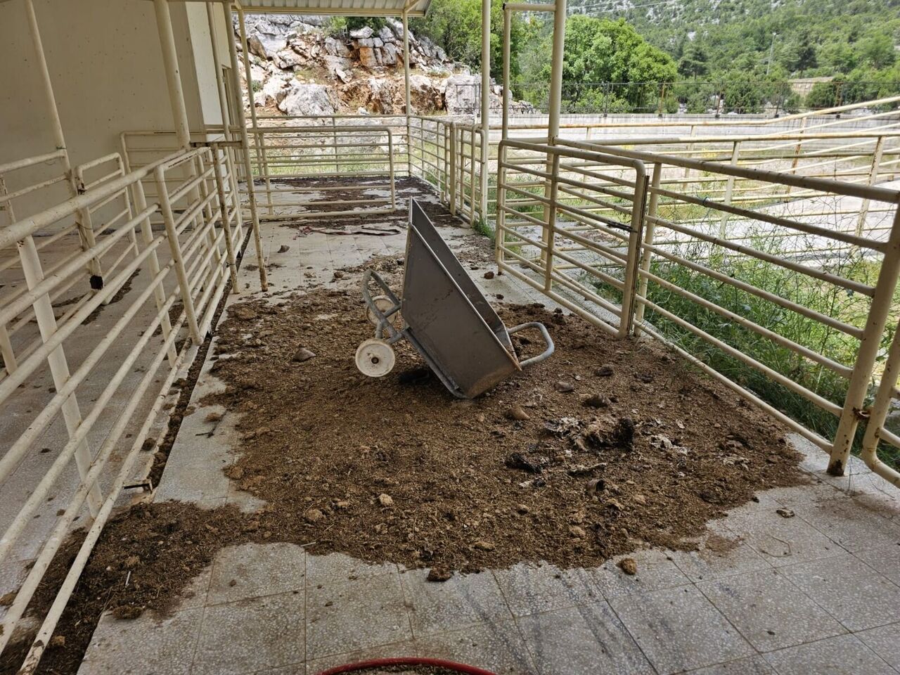 WhatsApp Image 2023-06-23 at 12.50.59 (2)