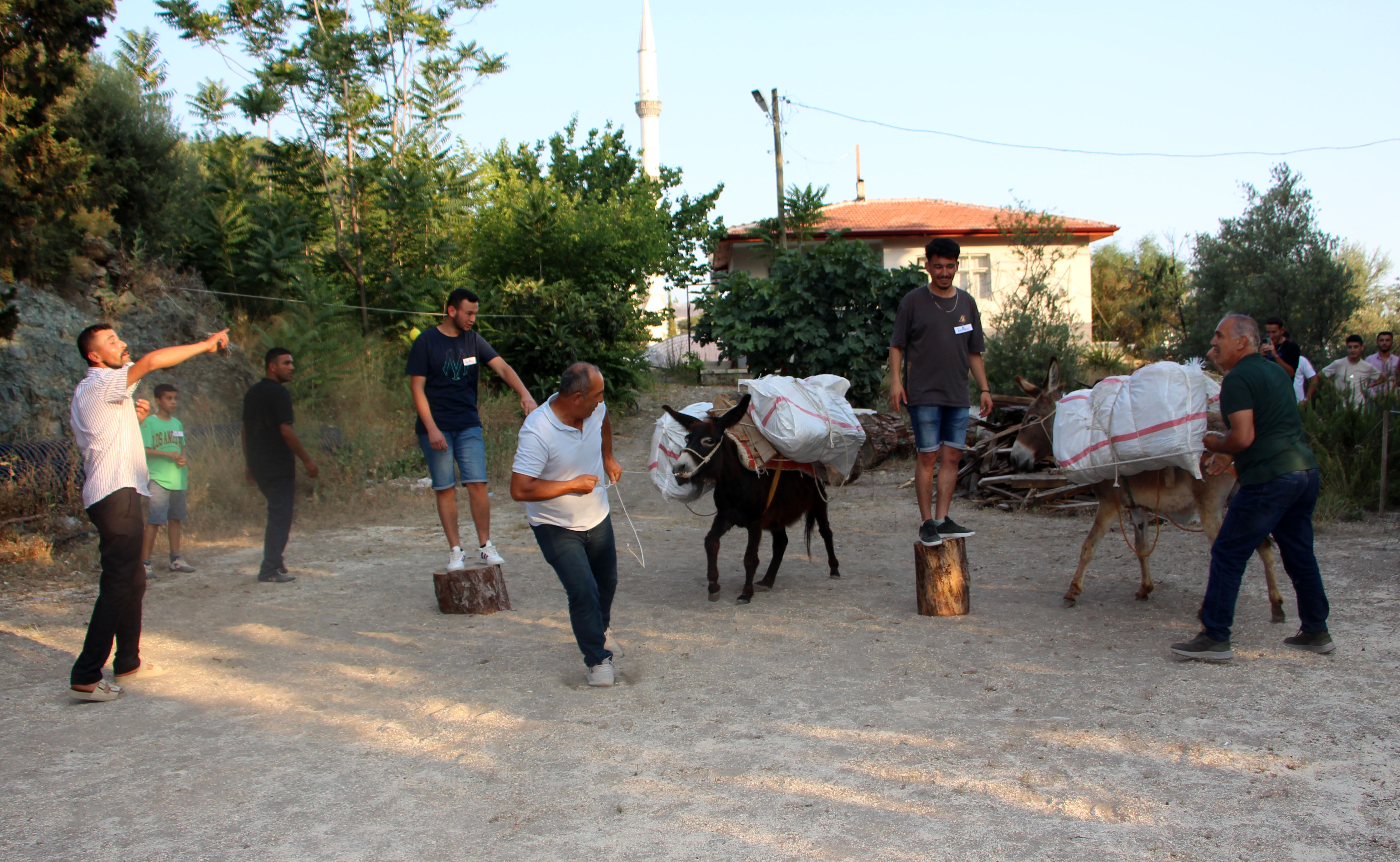 bayram-festivalinde-esege-saman-yukleme-yarismasi-ilgi-gordu_2591_dhaphoto2