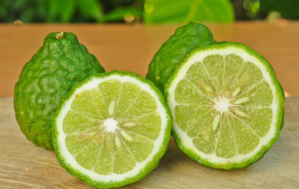 bergamot