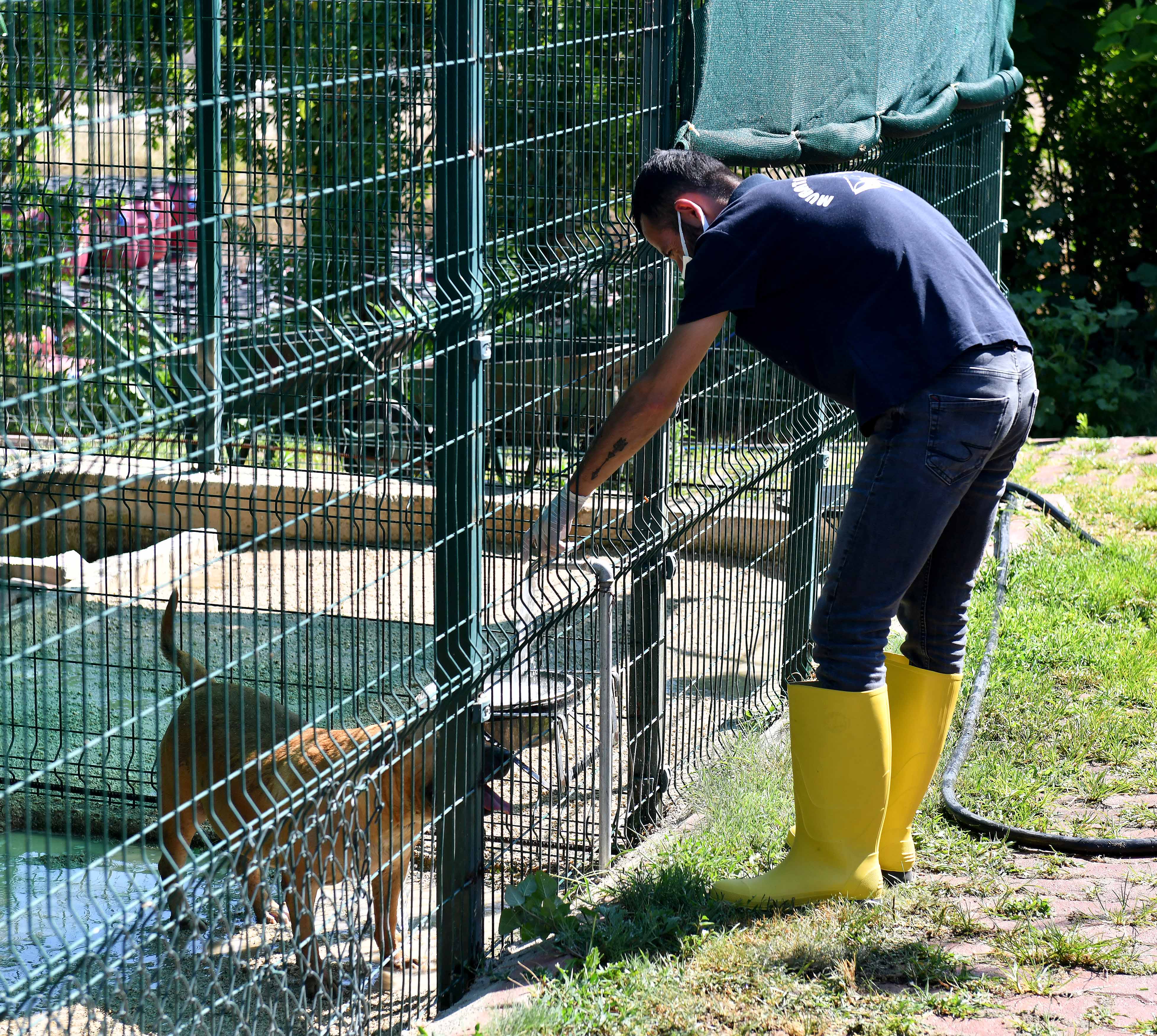 VETERİNERLİK SERİNLETME (4)