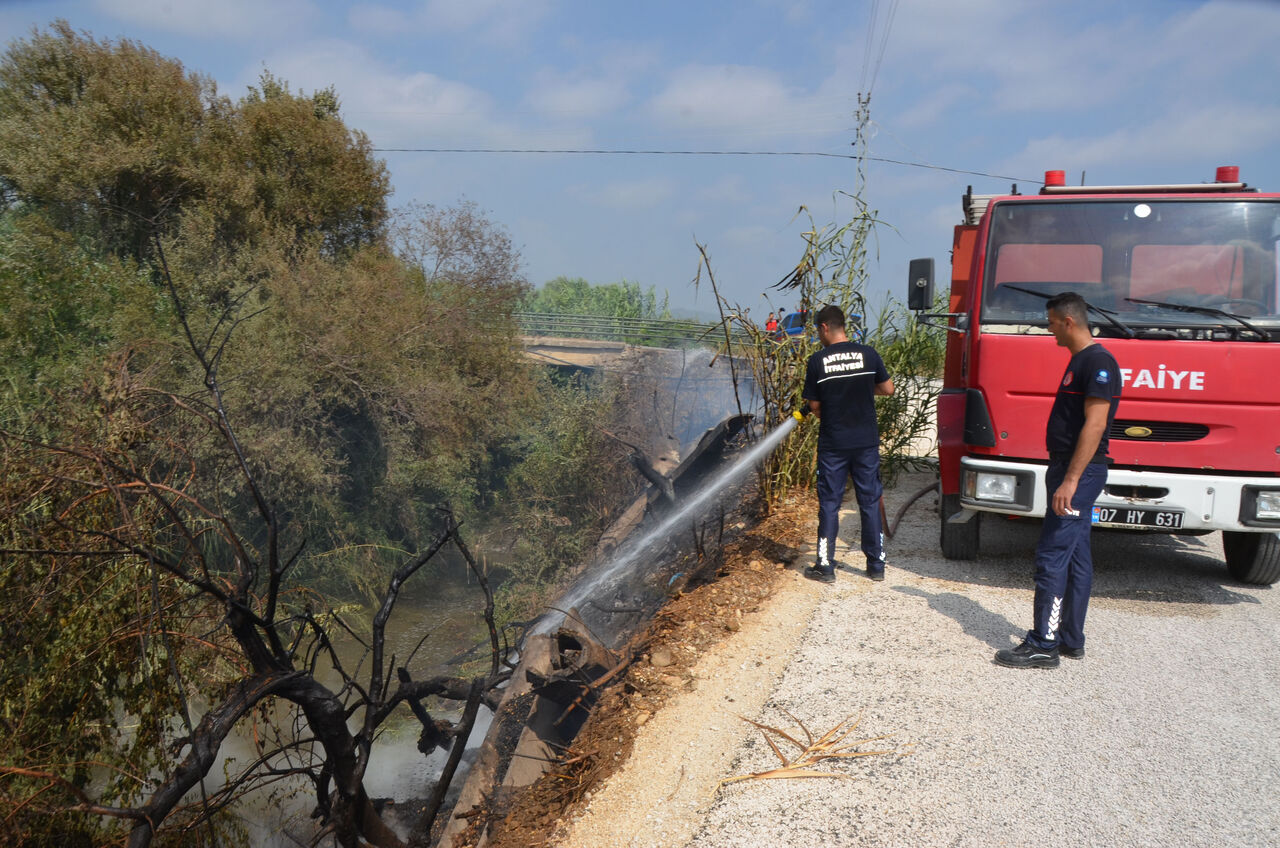 dere-kenarindaki-agaclar-yandi_5600_dhaphoto2