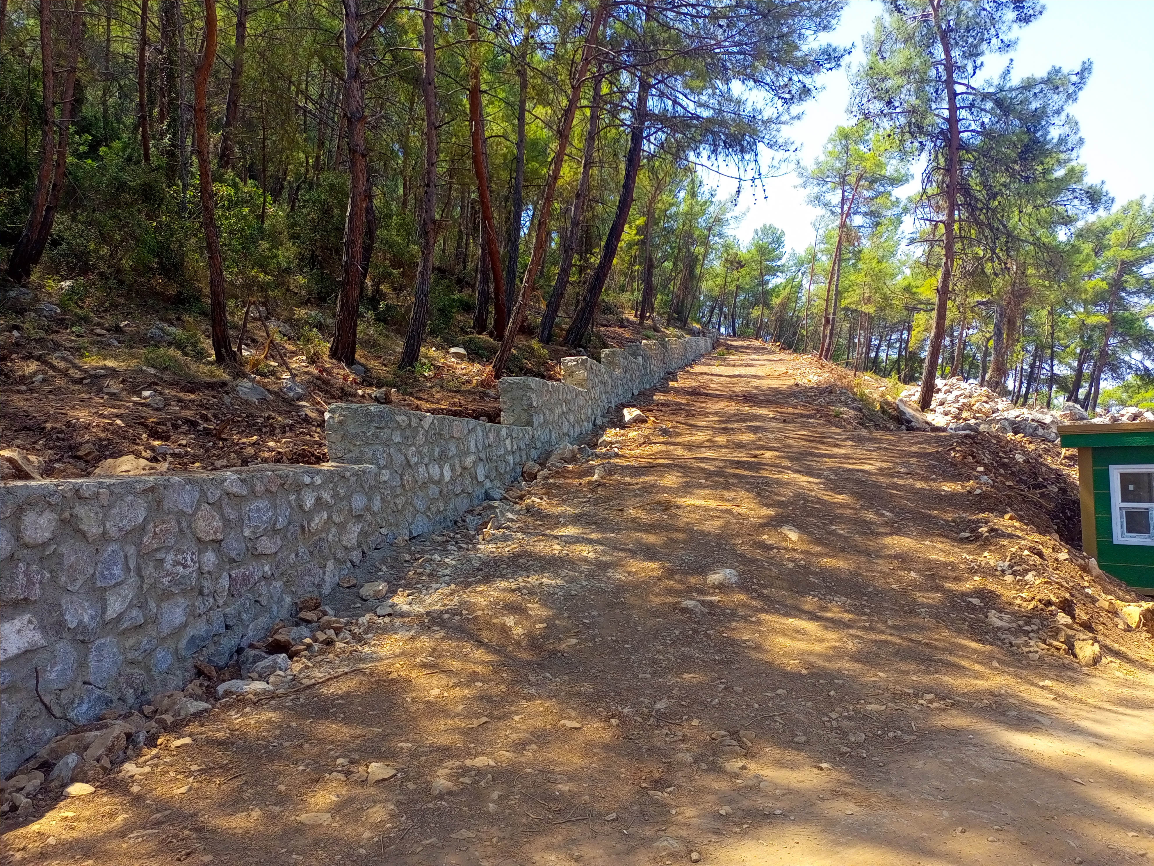 DUVAR, AÇILAN YOLLAR, KESİLEN AĞAÇLAR VE ÇALIŞMA ALANI (11)