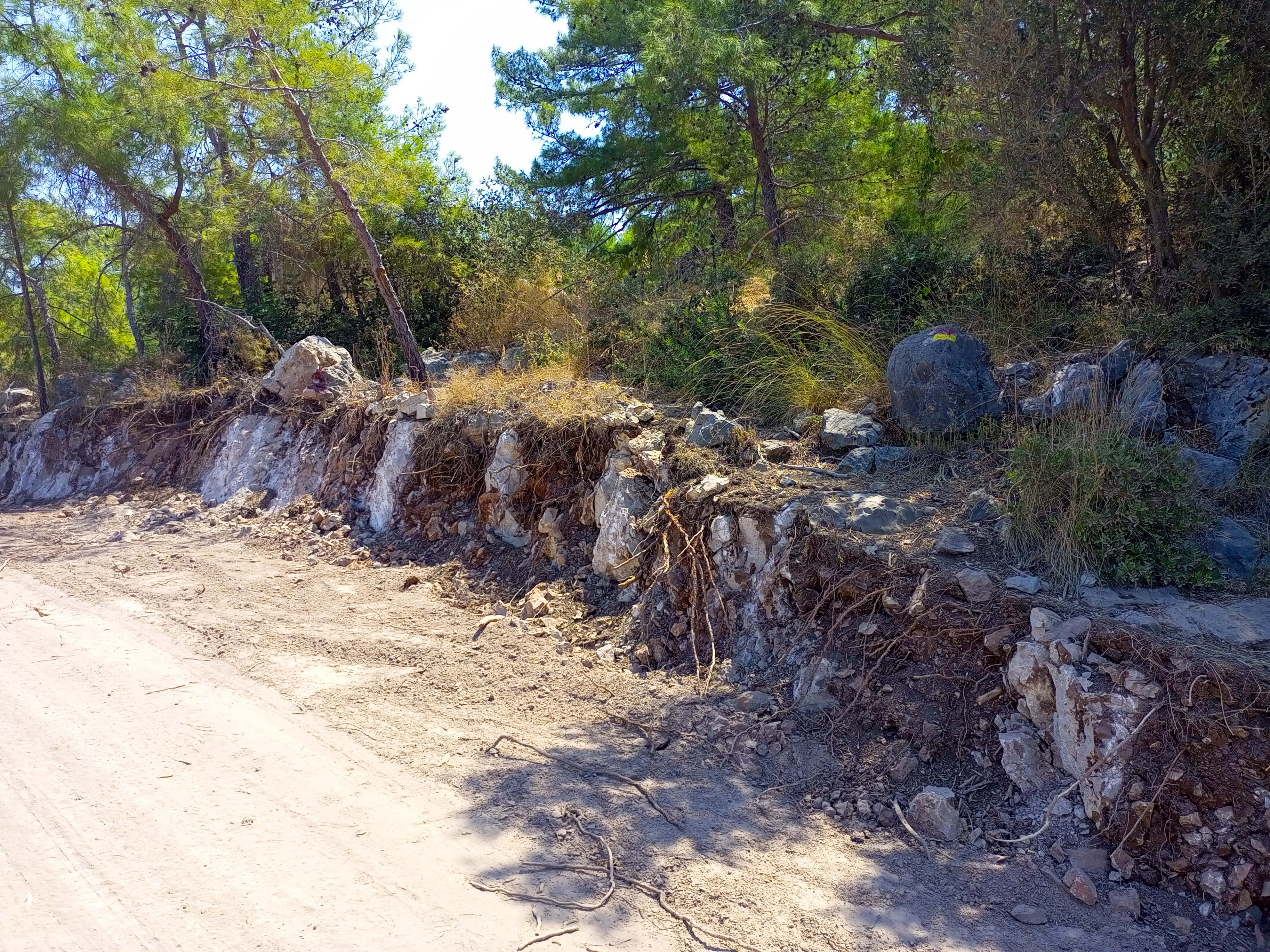 DUVAR, AÇILAN YOLLAR, KESİLEN AĞAÇLAR VE ÇALIŞMA ALANI (2)