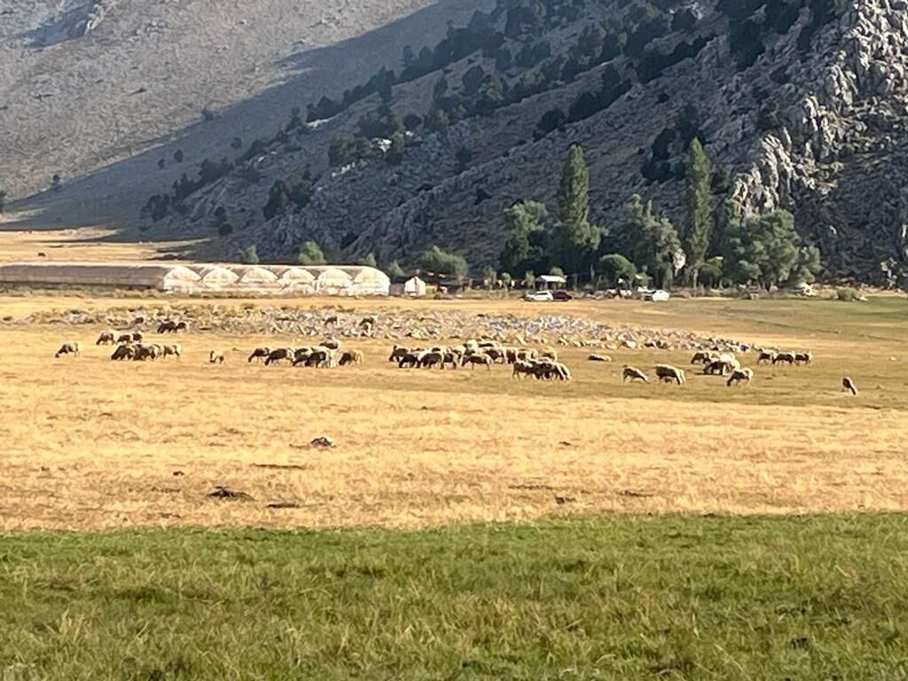 WhatsApp Image 2023-08-22 at 16.52.08 (2)