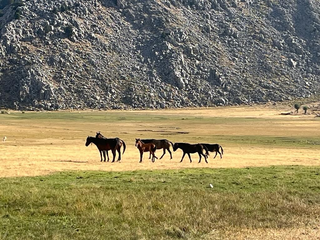 WhatsApp Image 2023-08-22 at 16.52.08 (6)