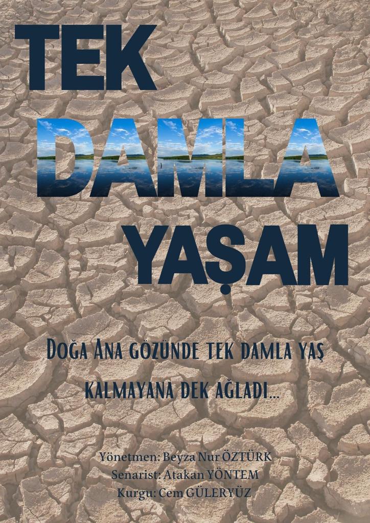 TEK DAMLA YAŞAM