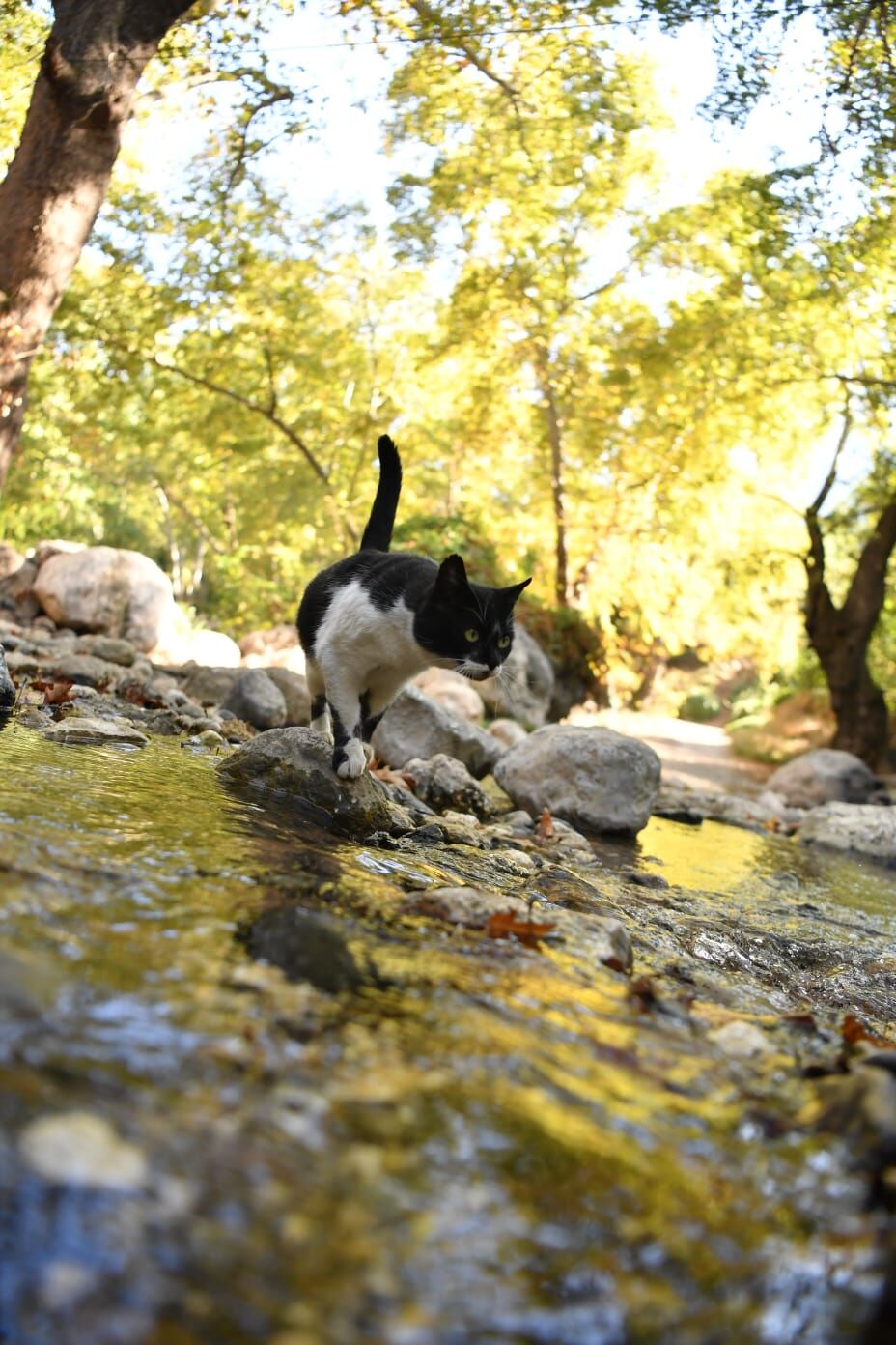 Keşfedin ama kirletmeyin (2)