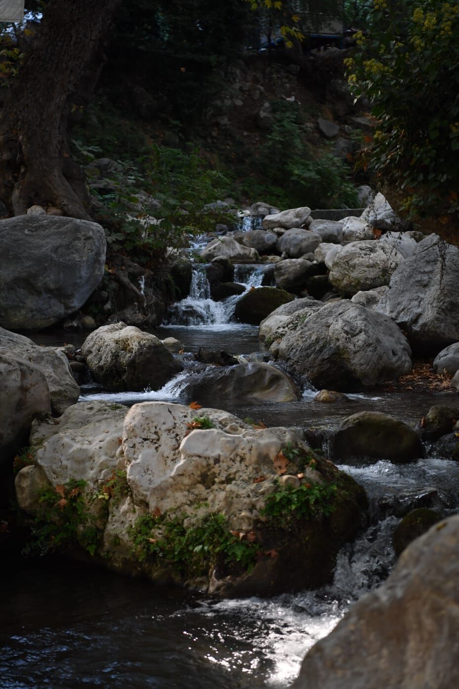 Keşfedin ama kirletmeyin (3)