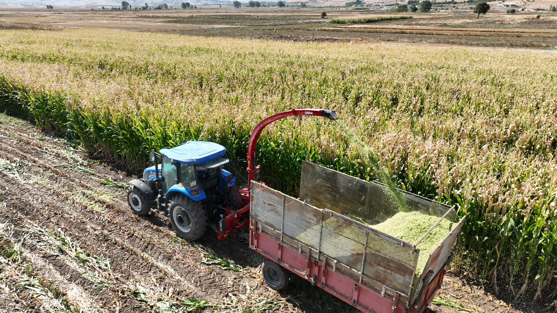 Korkuteli Taşkesiği Mısır Hasatı (21)