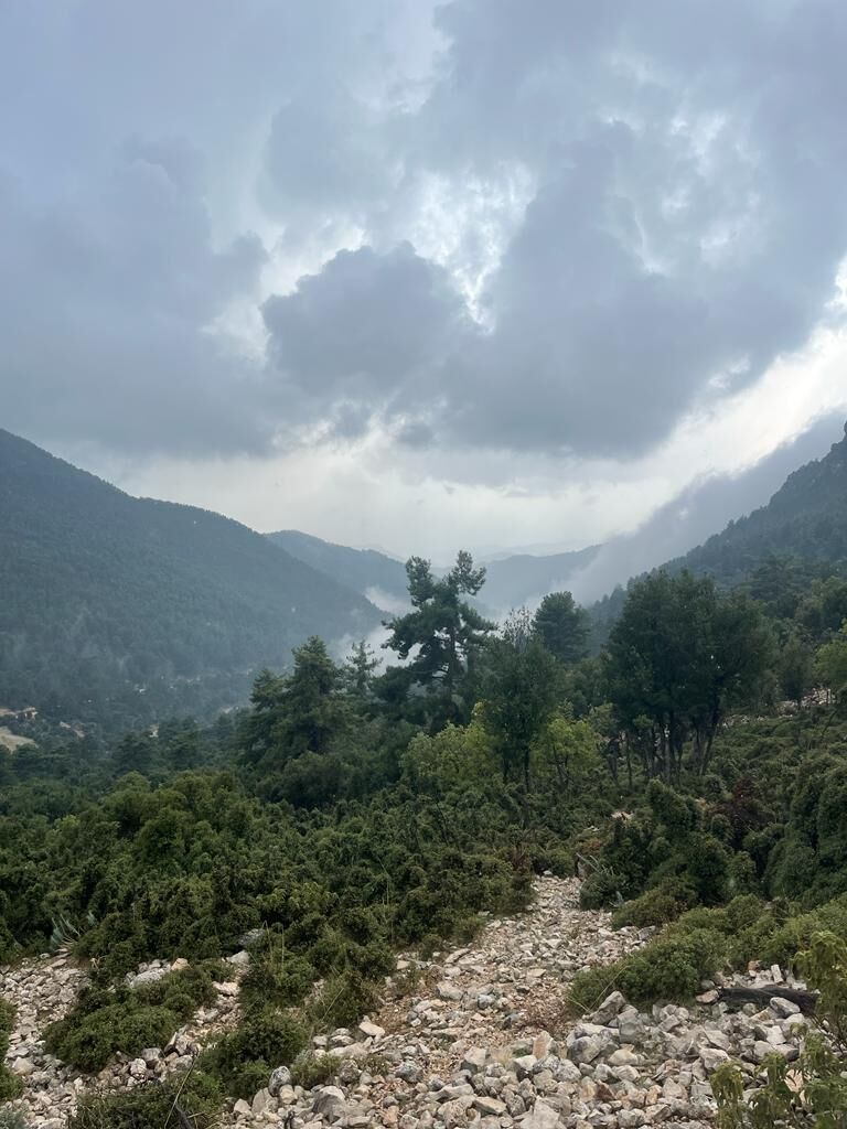 WhatsApp Image 2023-10-17 at 16.50.42