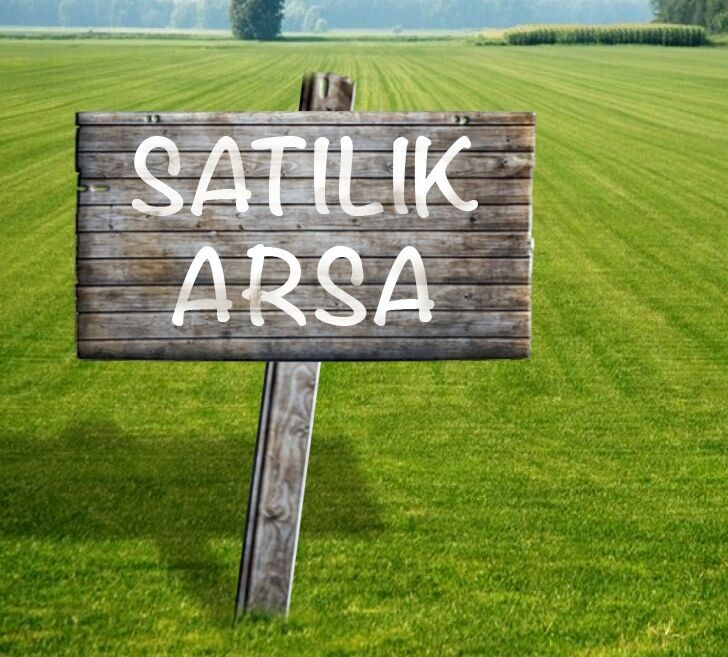 arsa