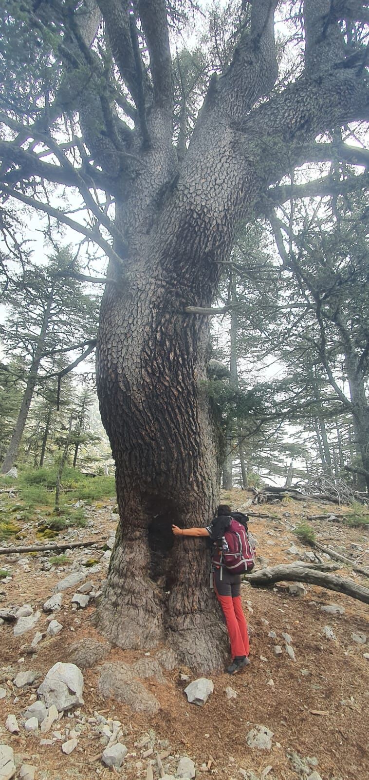 WhatsApp Image 2023-11-10 at 14.23.25 (1)