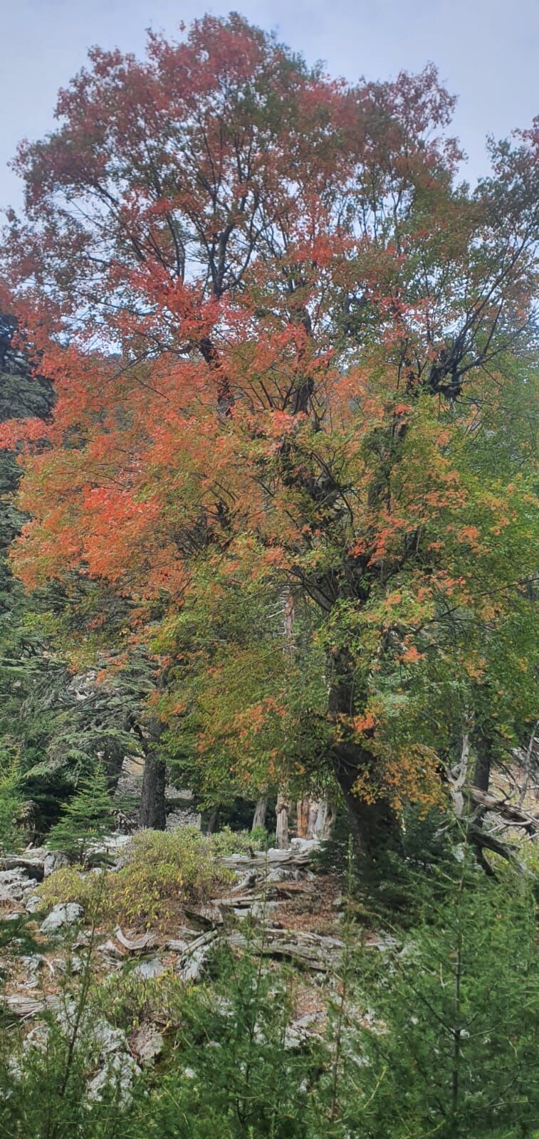 WhatsApp Image 2023-11-10 at 14.23.25