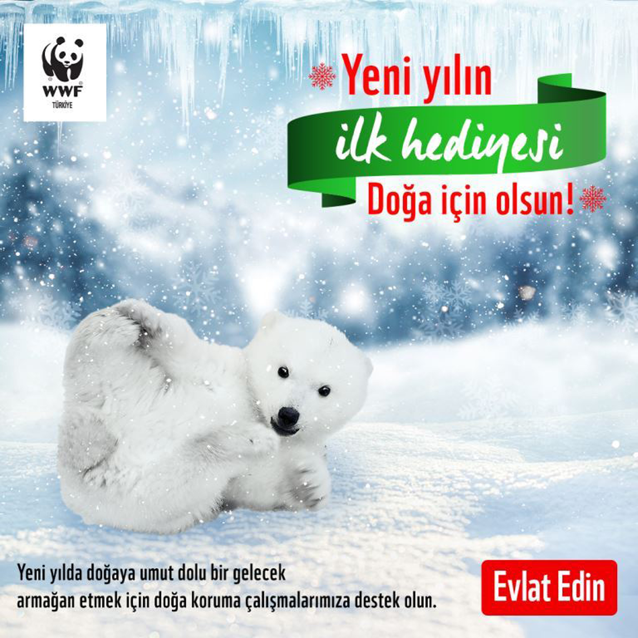 wwf-turkiye-yeni-yil-hediyesi-olarak-nesli-tehlikedeki-turleri-evlat-edinin_8158_dhaphoto9