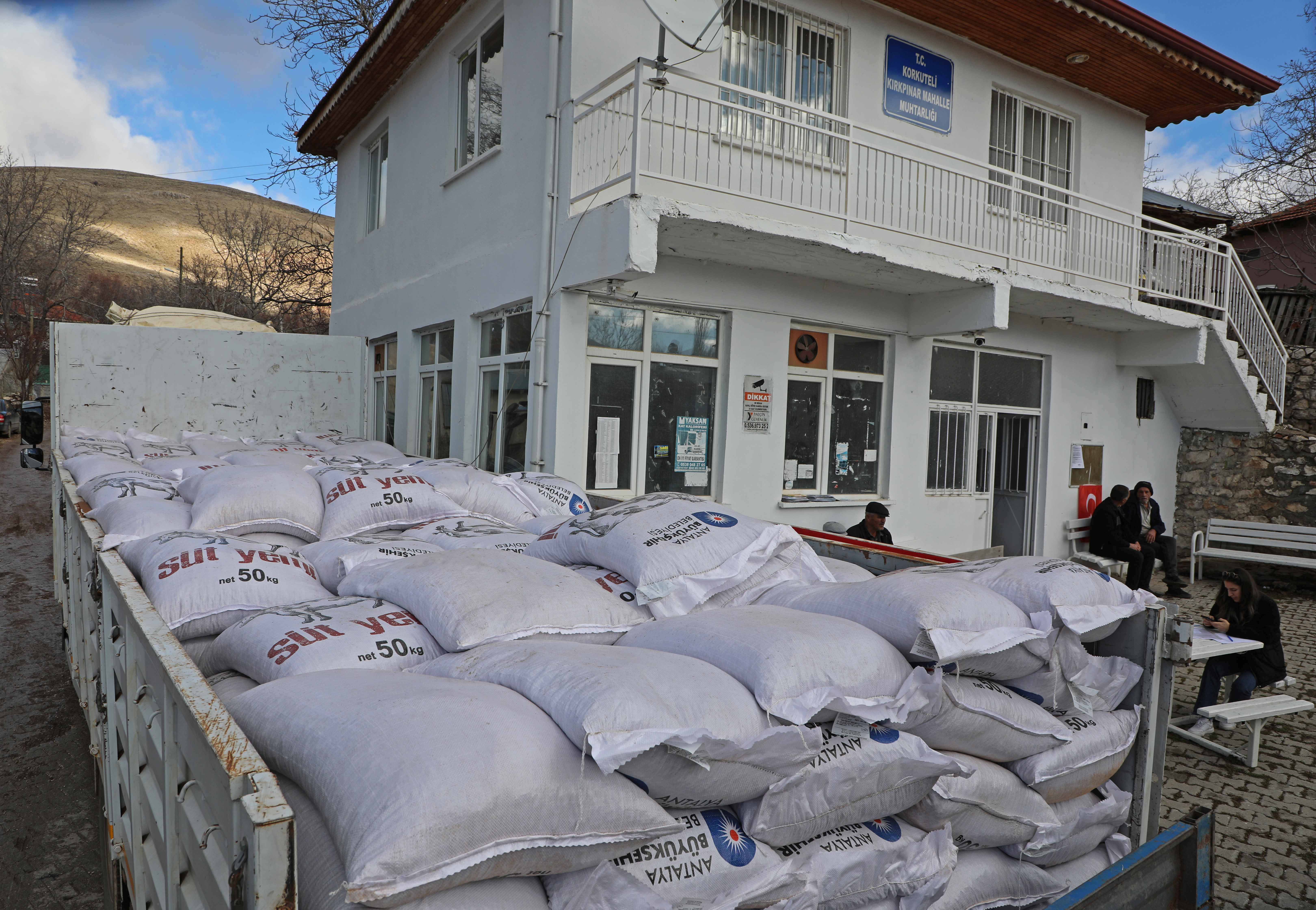 Büyükşehir üreticilere süt yemi desteğine başladı  (2)