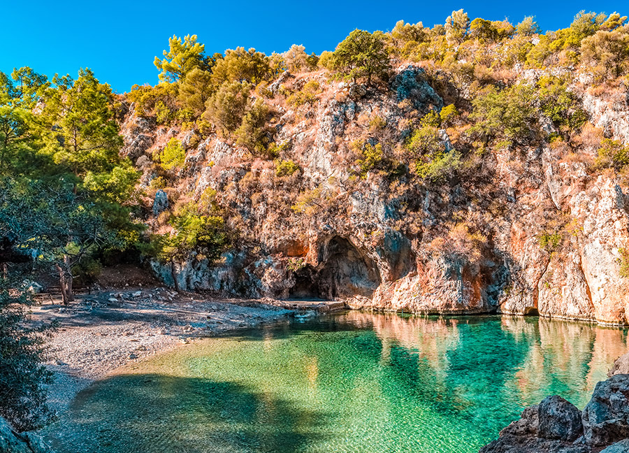 Korsan K Oyu Agacli Kayaliklar