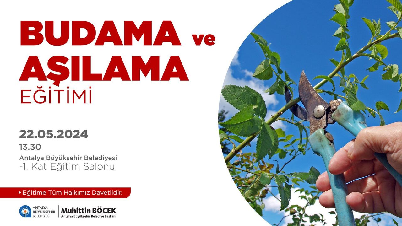 G Ns W X Qy Xc A E Tvd H