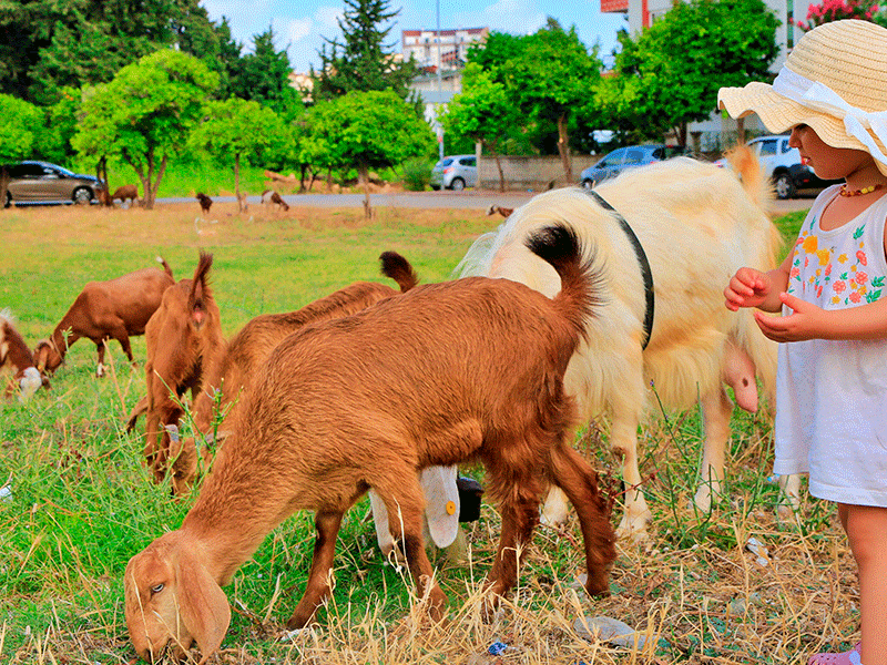 Keçş