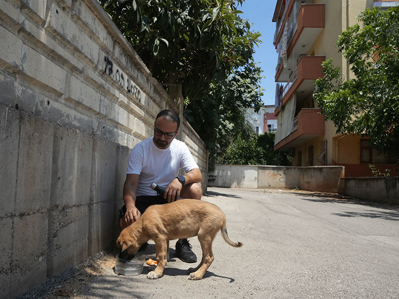 Antalya'da sokak köpeğine şiddet