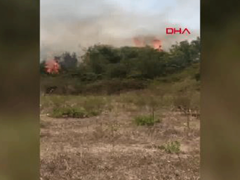 Manavgat'ta çalılık yangını