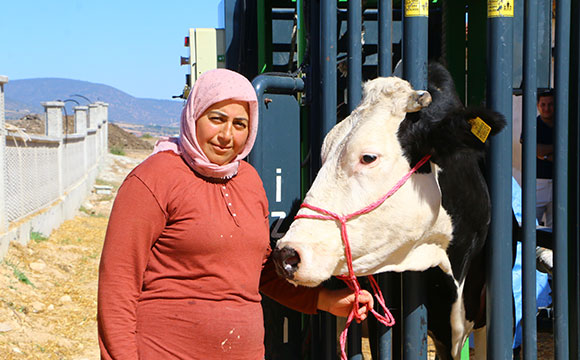 Tırnak