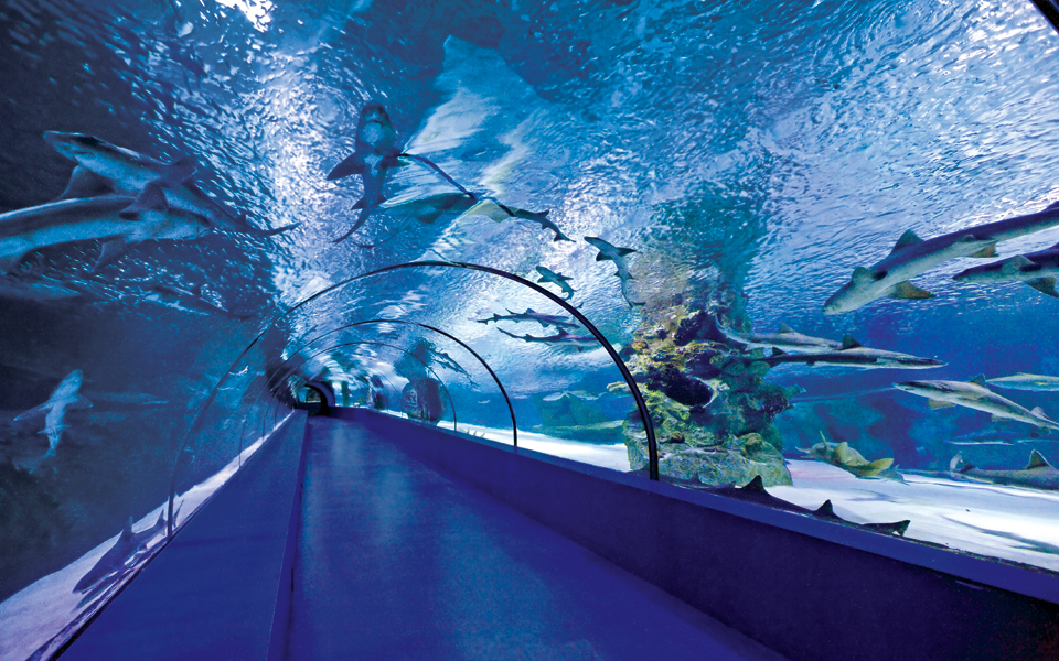 Antalya Aquarium 1