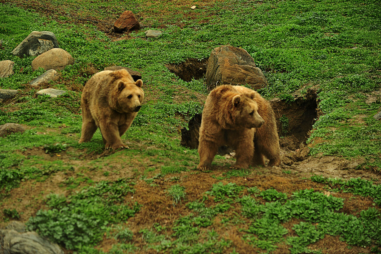 K I S U Y K U S U N A Y A T M A Y A N A Y I L A R M E Y V E V E B 524246 155146