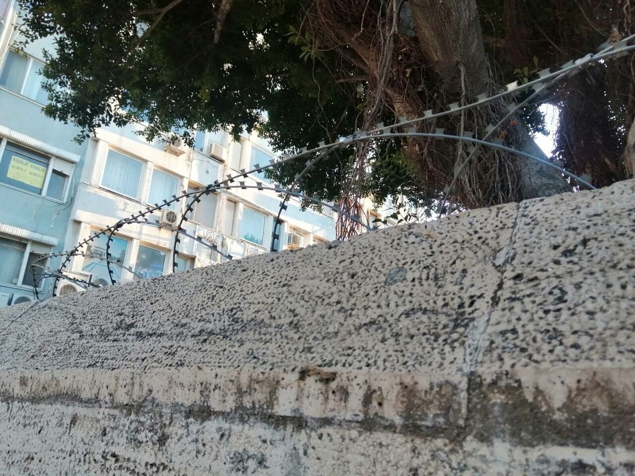 Whatsapp Image 2025 02 24 At 17.27.18 (1)