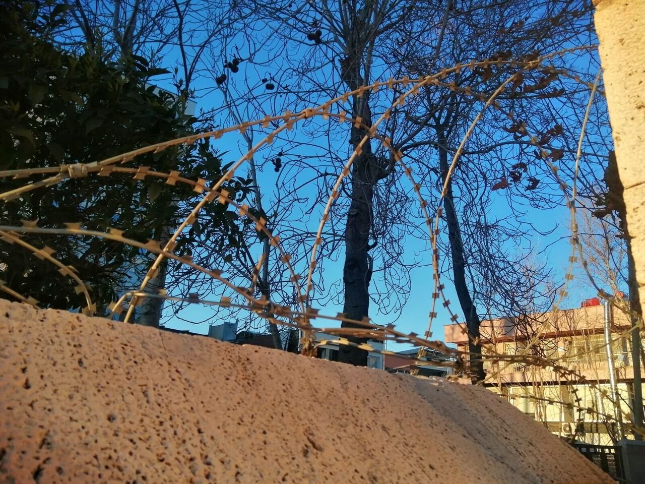 Whatsapp Image 2025 02 24 At 17.27.18