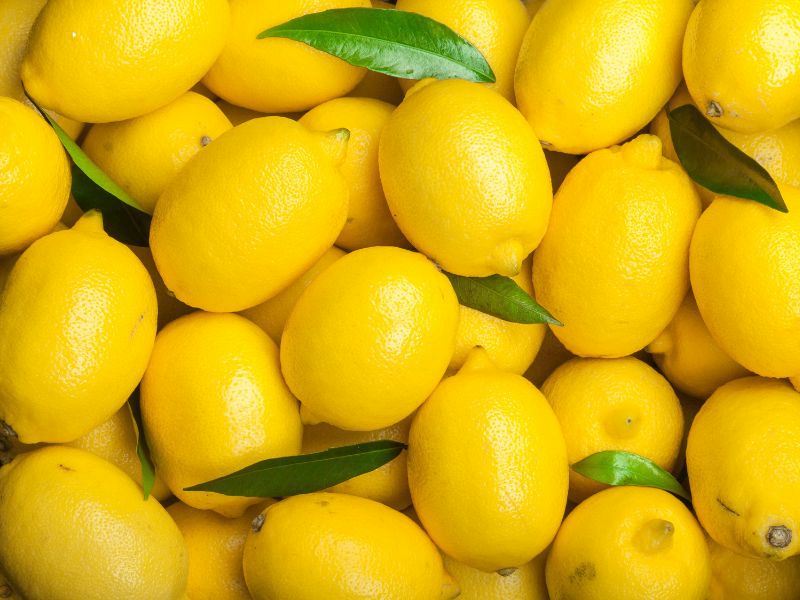 Limon Nasil Secilir 3 Basit Tuyo A1A052A0 0Faf 4481 B067 6Bc6960Aedeb