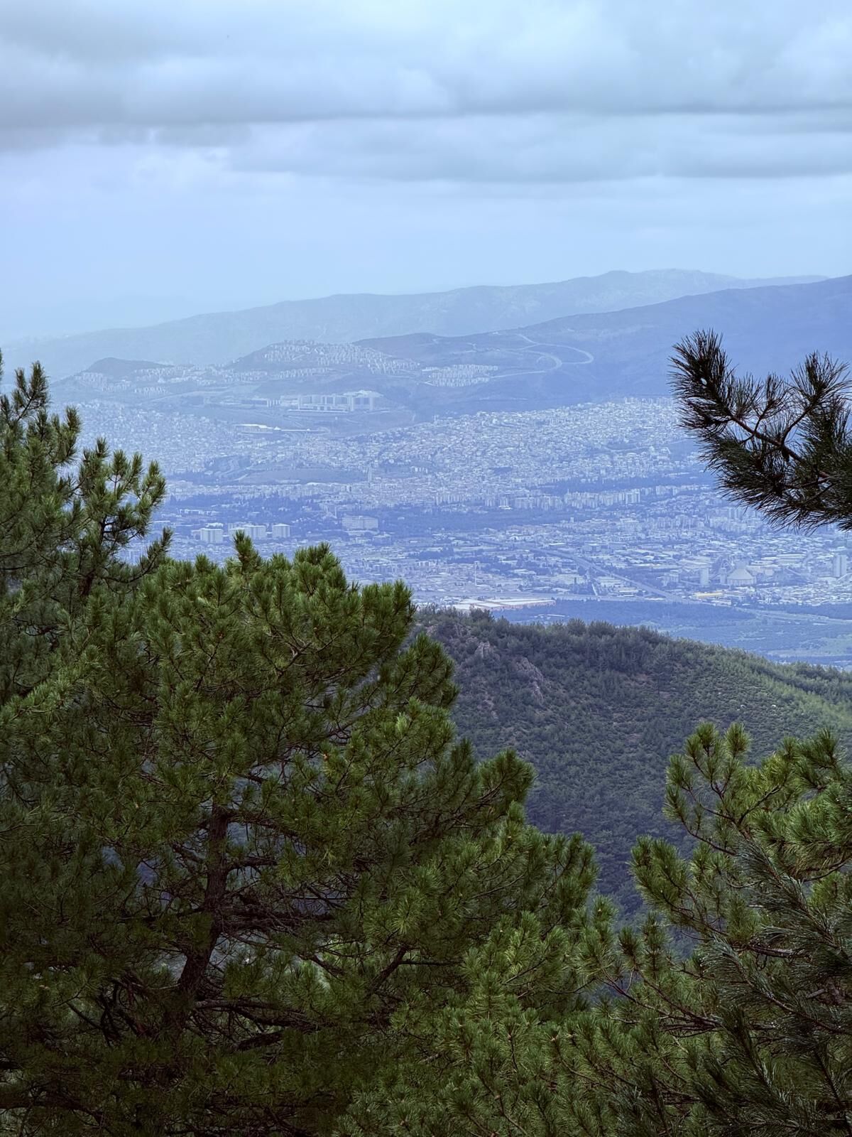 Whatsapp Image 2025 04 16 At 11.10.48 (1)