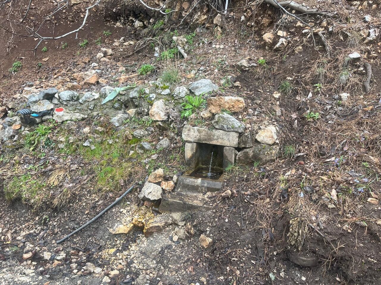 Whatsapp Image 2025 04 16 At 11.10.48 (2)