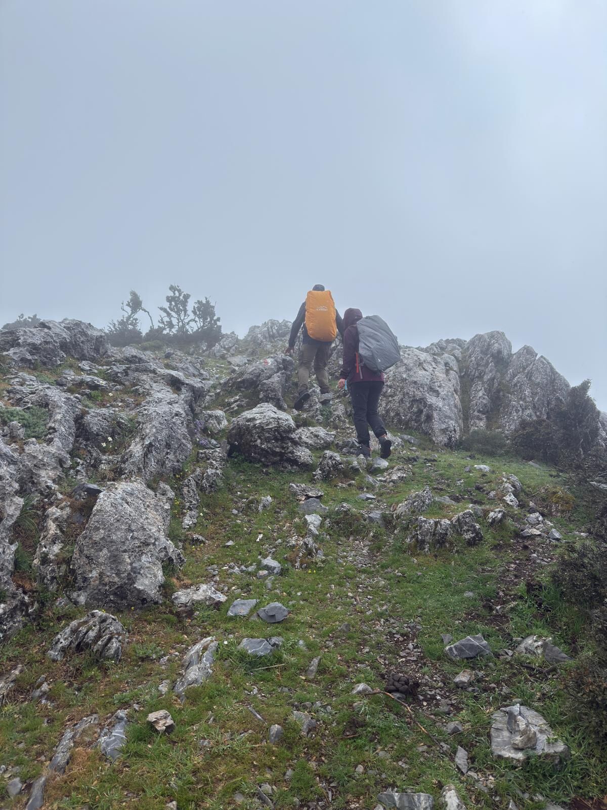 Whatsapp Image 2025 04 16 At 11.10.48 (3)