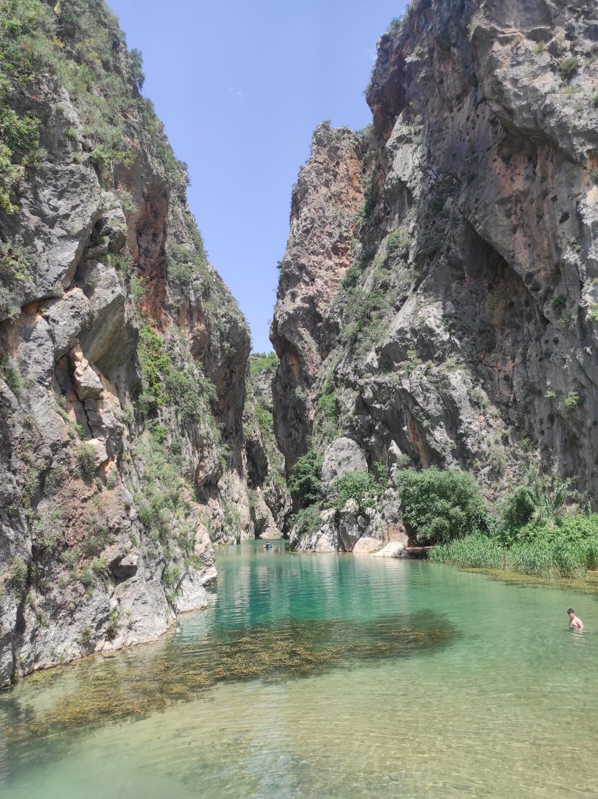 Ec6Ff333 D226 454D 9F58 F51F33Af25C1