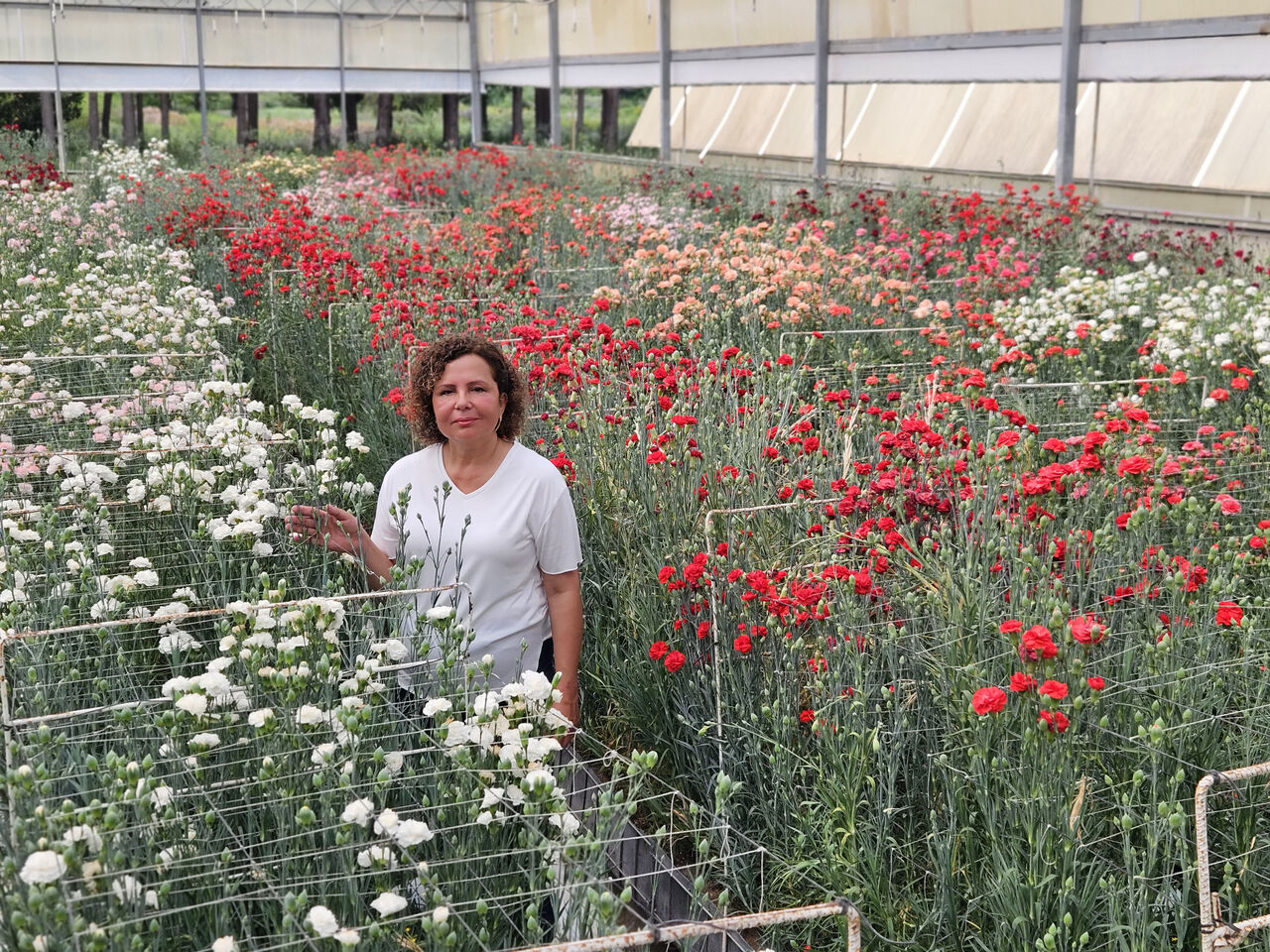 K A R A N F I L D E F U S A R I U M H A S T A L I G I N A K A R S I Y E 712988 210941