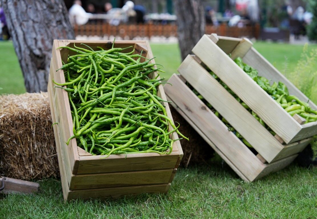 Konyaalti Beledi̇yesi̇ Çi̇ftçi̇ler Gününde Üreti̇ci̇ Pazari Kurdu (4)