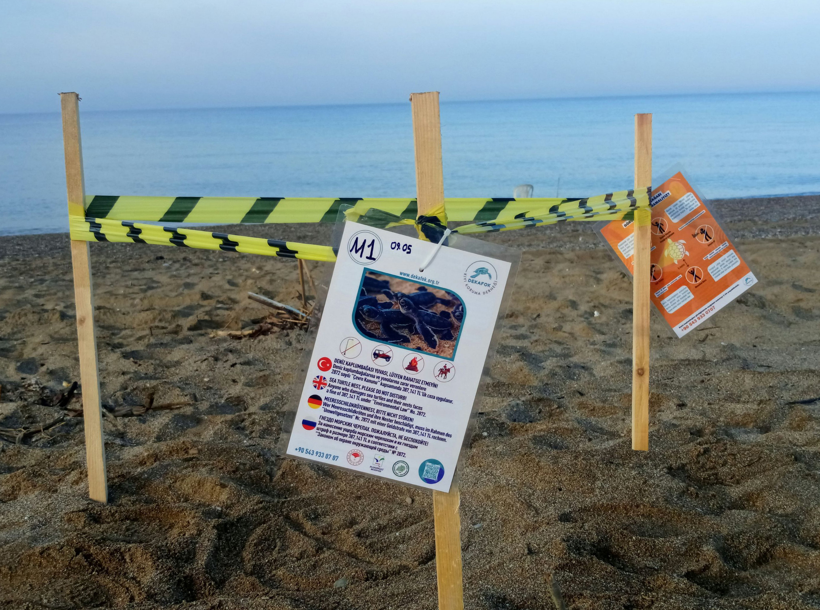 Manavgatta Sezonun Ilk Deniz Kaplumbaga 703185 208179 (1)