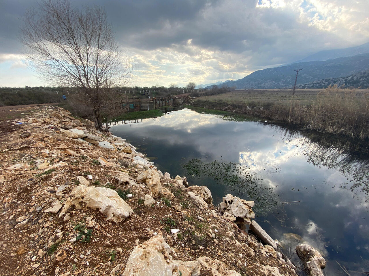 S U S U Z L U K D A D E P R E M K A D A R Y I K I M Y A P A C A K 696461 206240