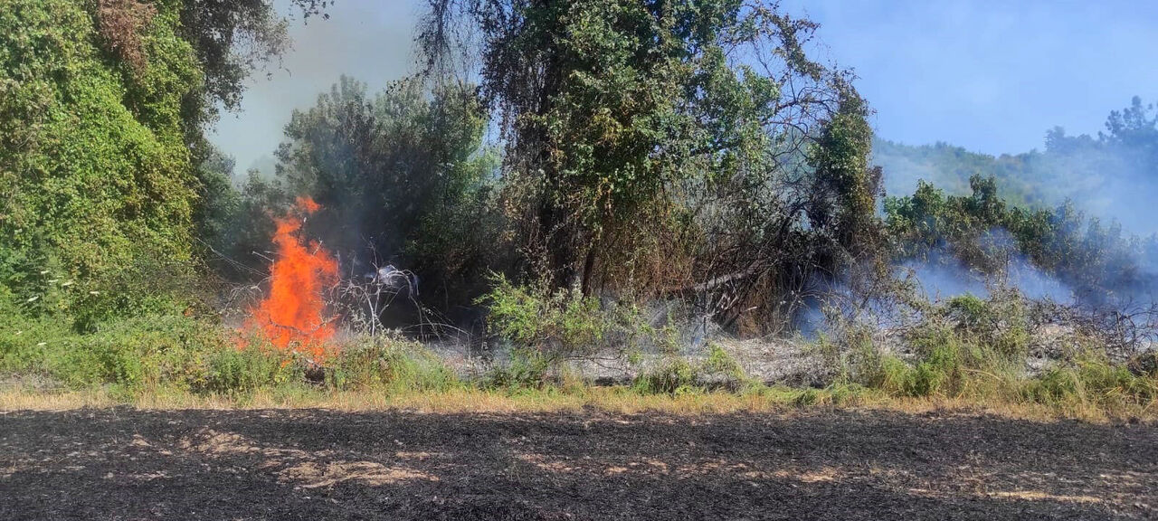 A N T A L Y A D A O R M A N Y A N G I N I (2) 780519 230747