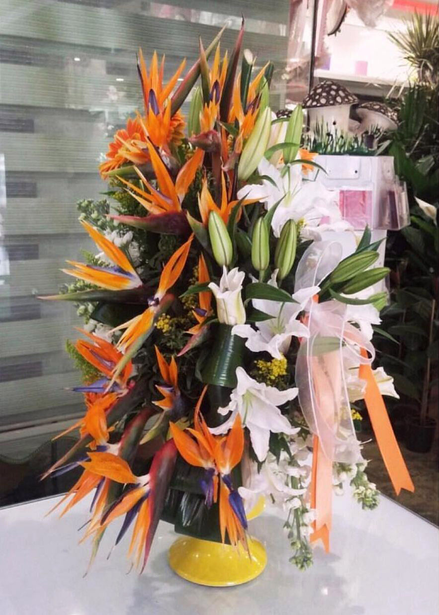 B A B A L A R G U N U O N C E S I S T A R L I C E C I C E G I N E 765259 225876