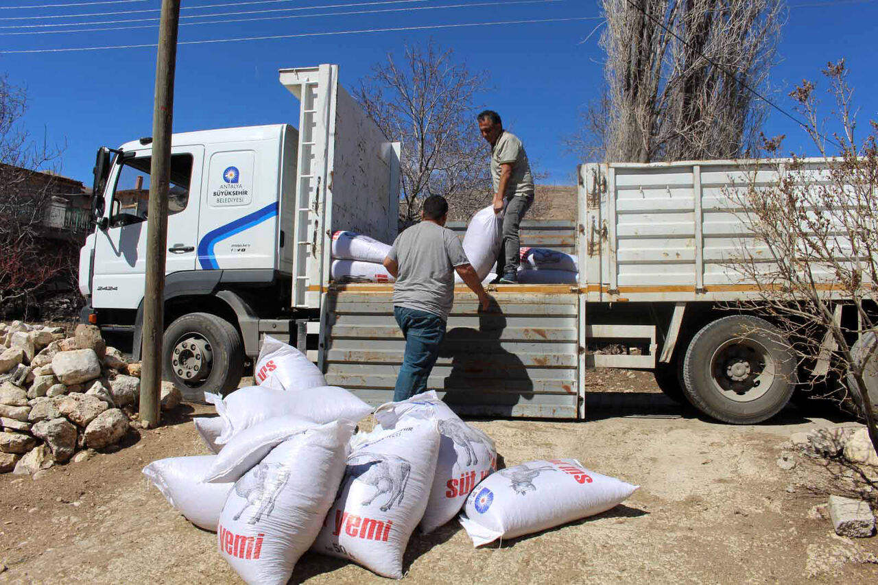 B U Y U K S E H I R D E N 59 C I F T C I Y E 2 B I N 851 C U V 784824 232168