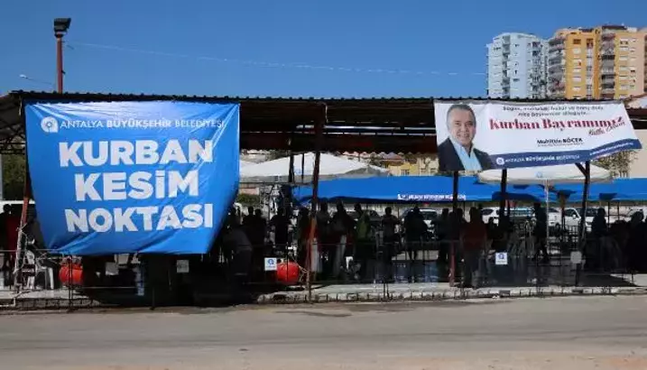 Foto (1)-363