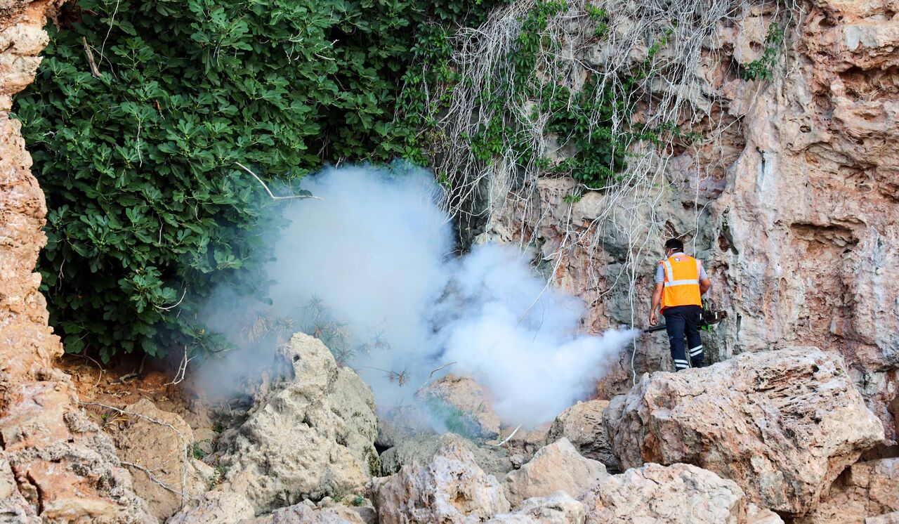 K A R A D A N V E D E N I Z D E N V E K T O R E L M U C A D E L E 771262 227817