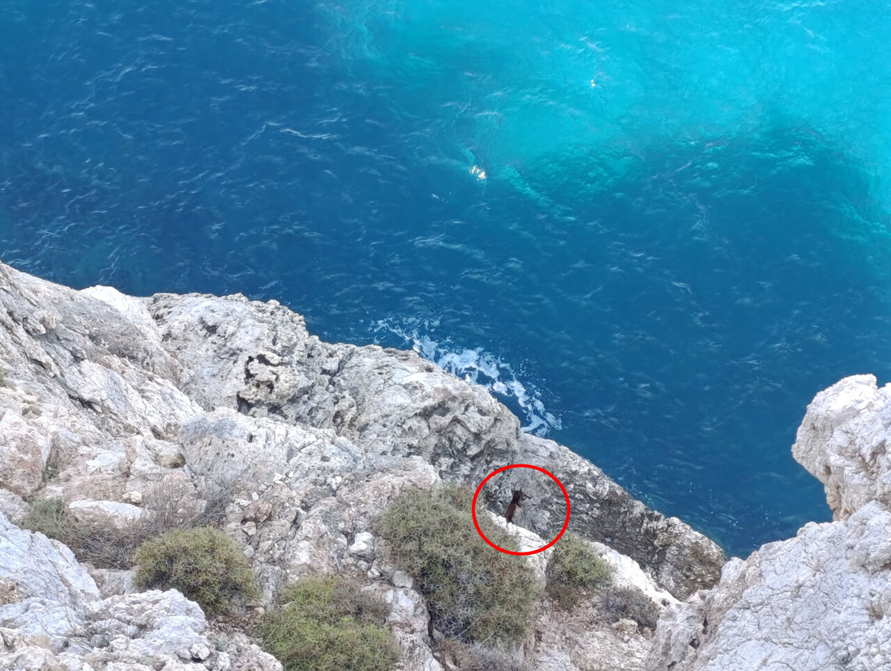 K A Y A L I K L A R D A 3 G U N M A H S U R K A L A N K E C I K U R 771961 228087